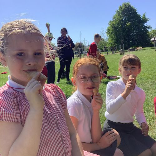 Year 3 Trip
